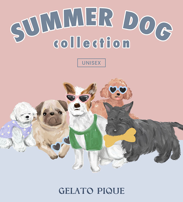 2507_SUMMER DOG