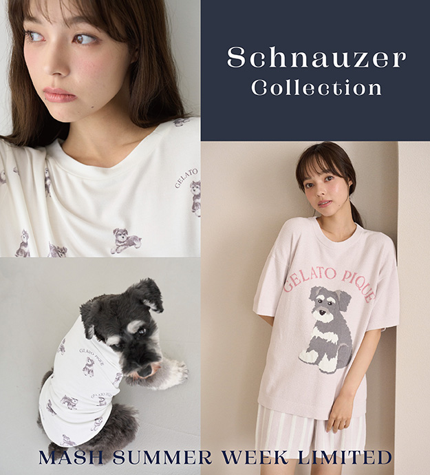 250820_Schnauzer