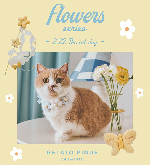 0225_flower cat