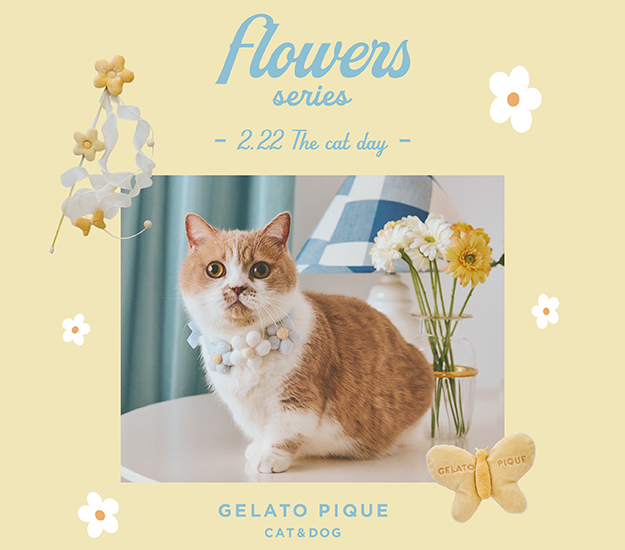 GELATO PIQUE CAT&DOG