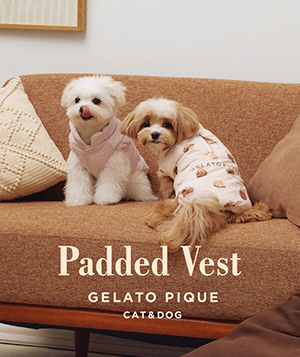 GELATO PIQUE CAT&DOG