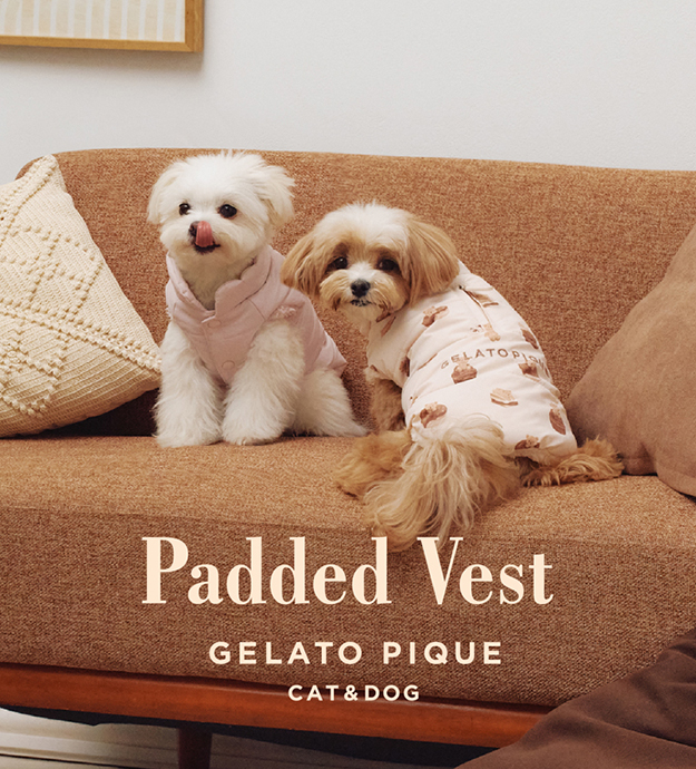 GELATO PIQUE CAT&DOG