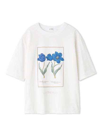 BLU