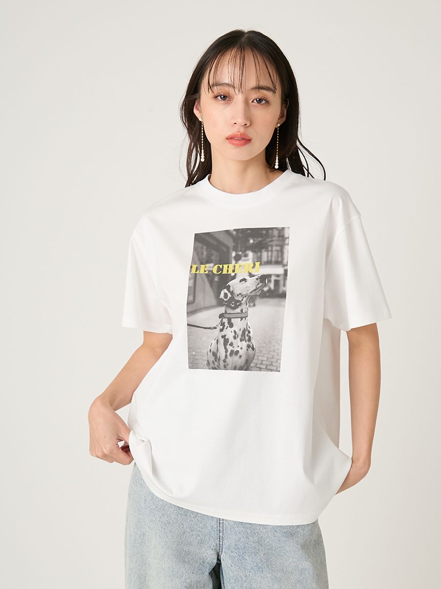 寬鬆版照片印花T-Shirt FWCT262036
