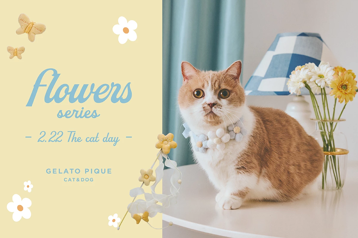 FLOWERS SERIES 🐈🦋🌼