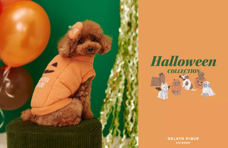 GELATO PIQUE CAT&DOG HALLOWEEN COLLECTION 🎃🐶
