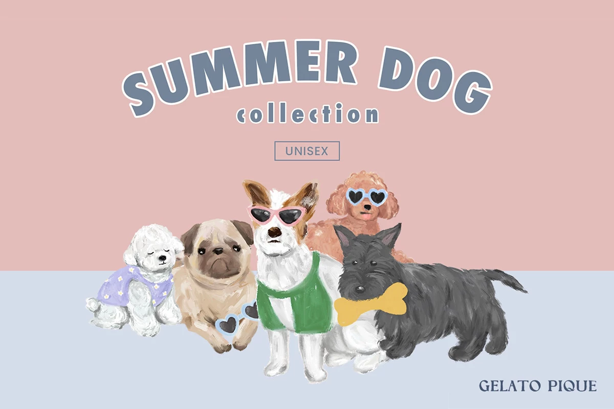 SUMMER DOG collection🐶