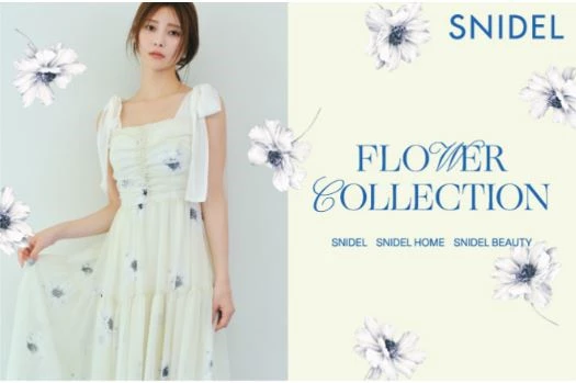 大朵雛菊華麗綻放的 Flower Collection