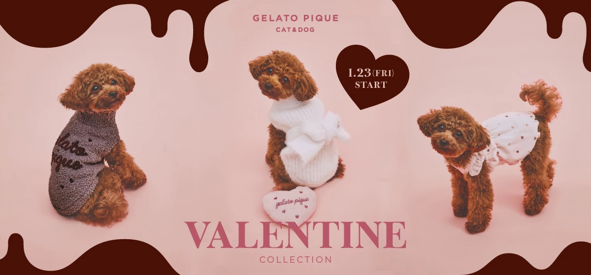 VALENTINE COLLECTION🐕💝