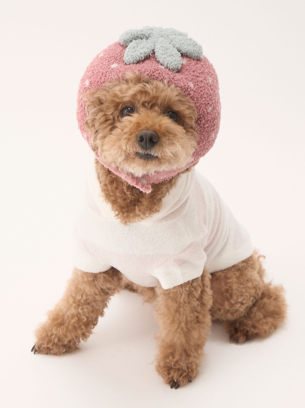 【CAT&DOG】BABY MOCO草莓造型寵物帽 PAGA229518-RED