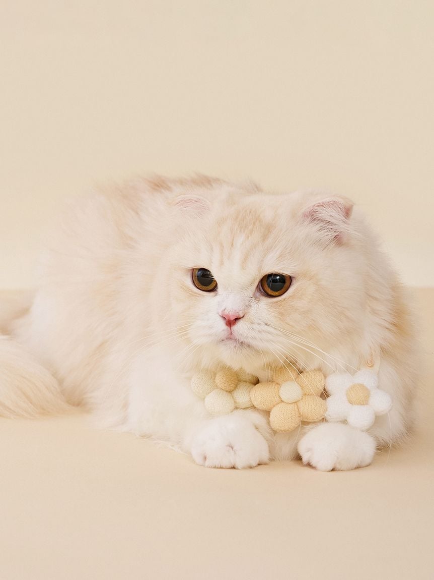 【CAT&DOG】Smoothie花朵造型項圈 PAGA261579