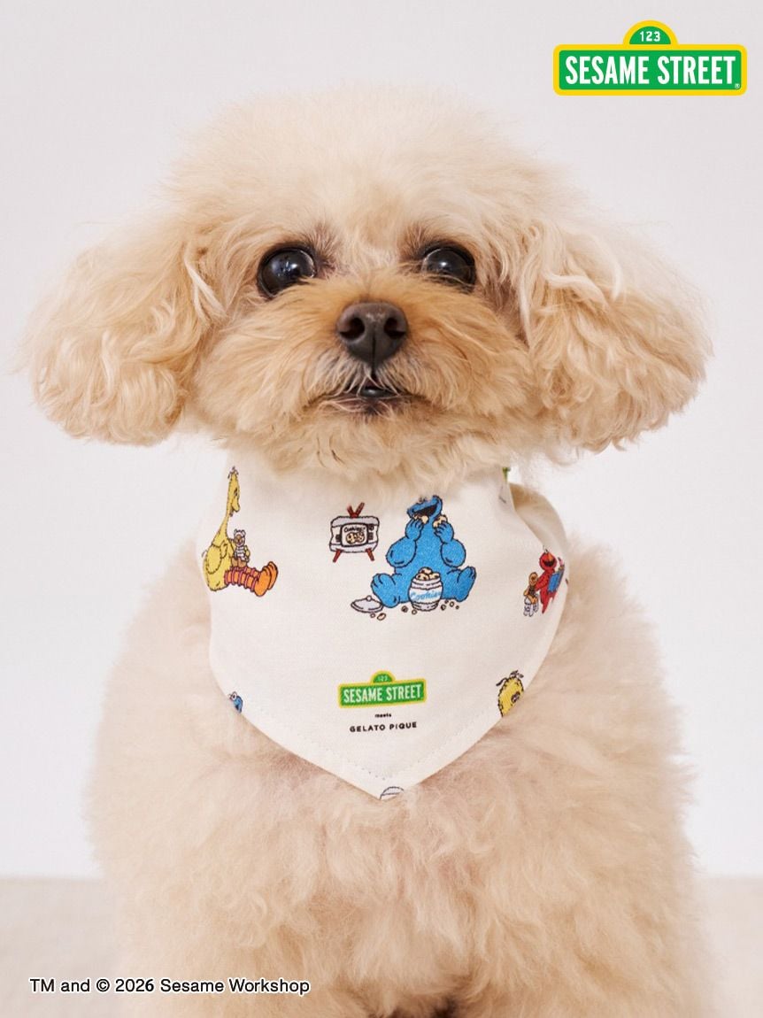 【SESAME STREET】CAT＆DOG印花領巾 PAGA261598