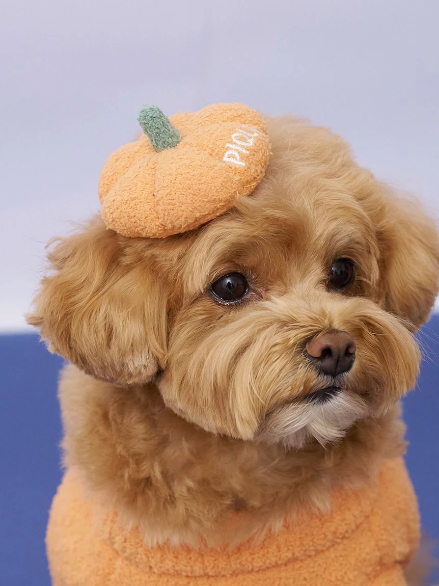 【HALLOWEEN】【CAT&DOG】南瓜髮夾 PAGA264717