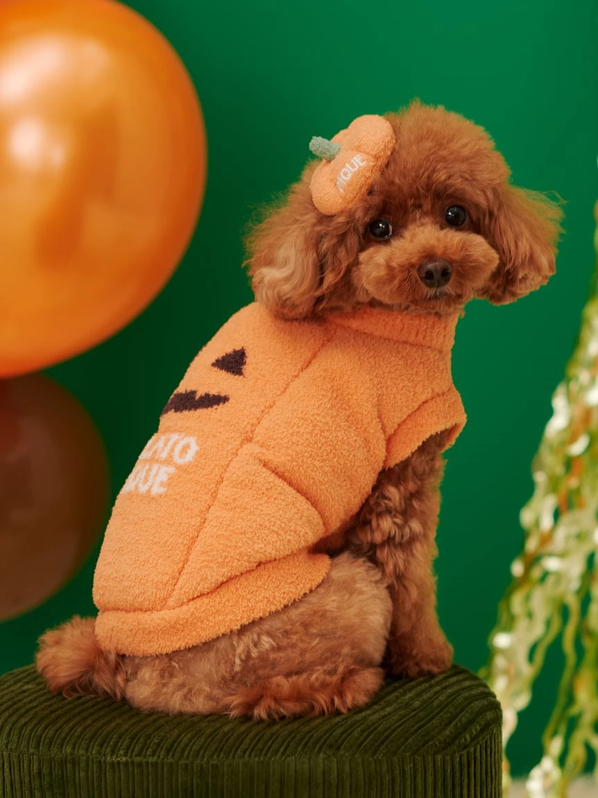 【HALLOWEEN】【CAT&DOG】南瓜髮夾 PAGA264717