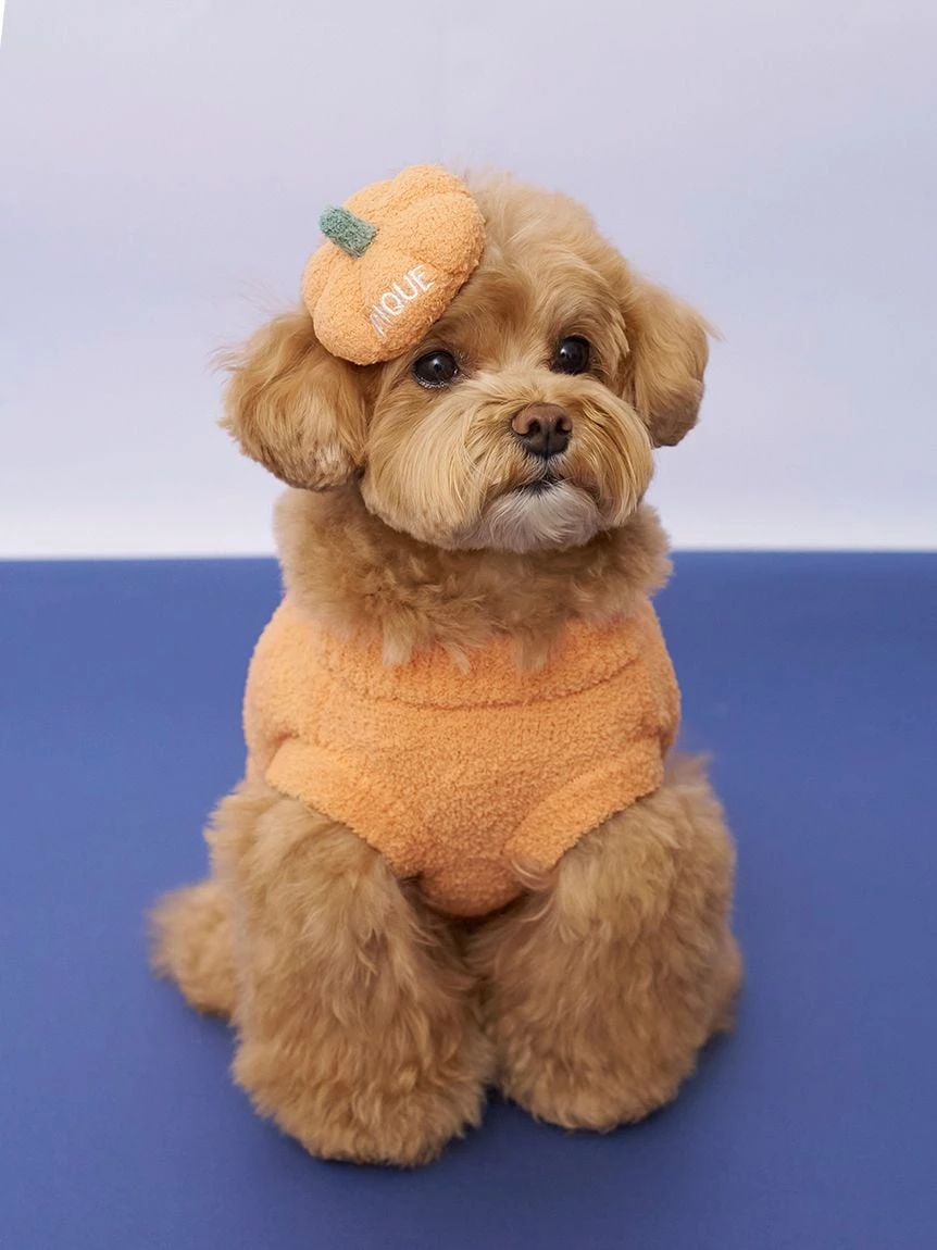 【HALLOWEEN】【CAT&DOG】南瓜髮夾 PAGA264717