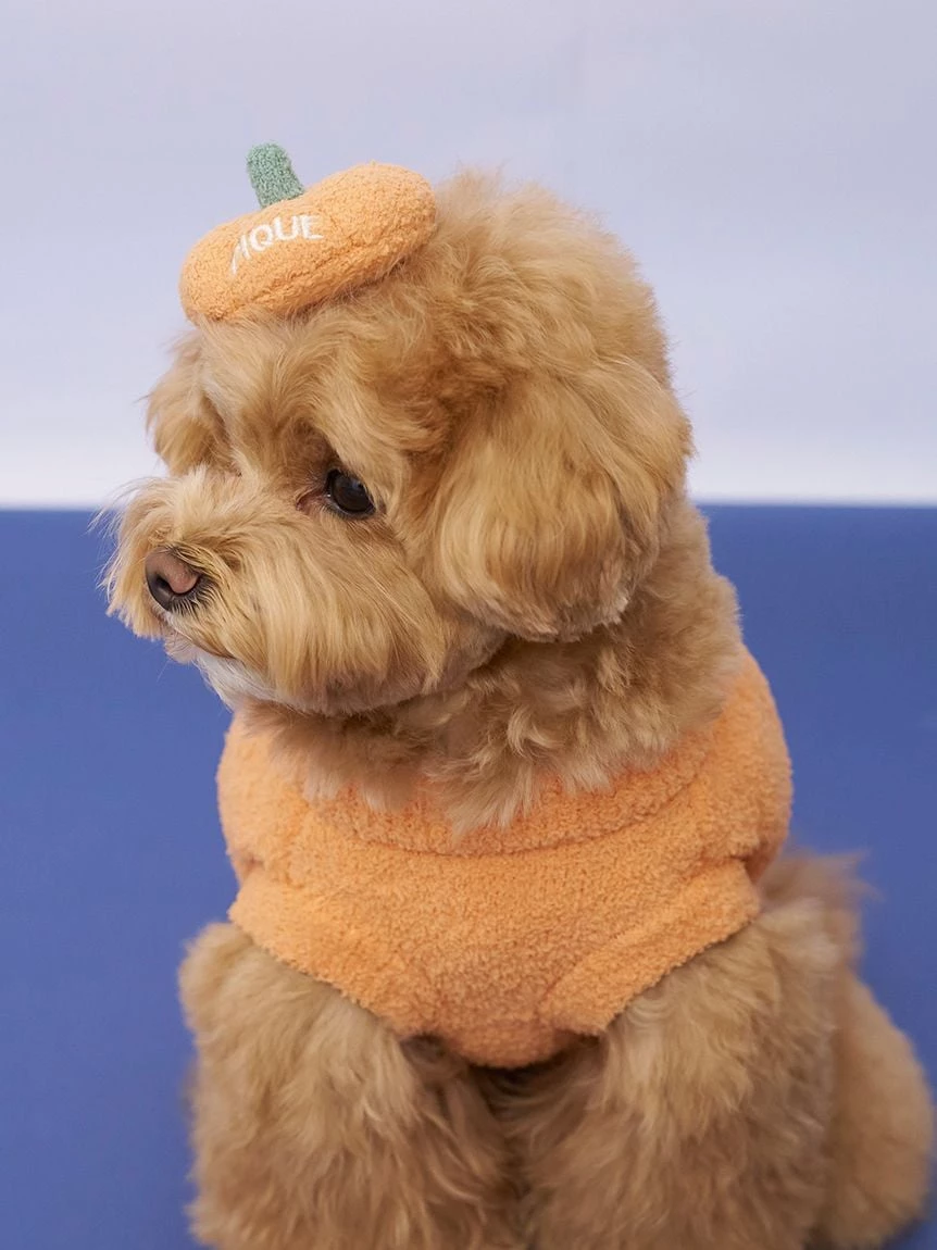 【HALLOWEEN】【CAT&DOG】南瓜髮夾 PAGA264717