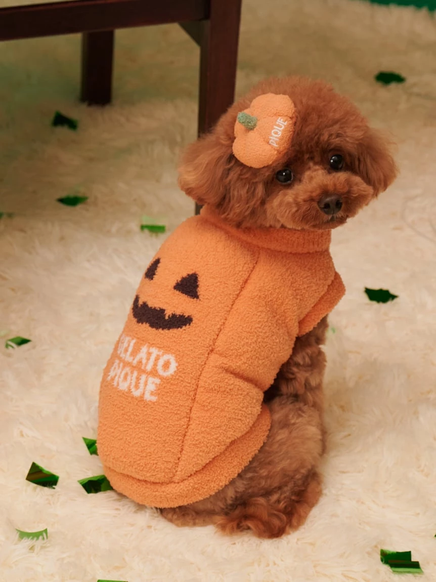 【HALLOWEEN】【CAT&DOG】南瓜髮夾 PAGA264717
