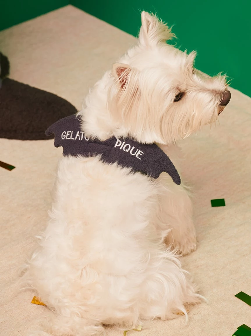 【HALLOWEEN】【CAT&DOG】蝙蝠翅膀 PAGA264719