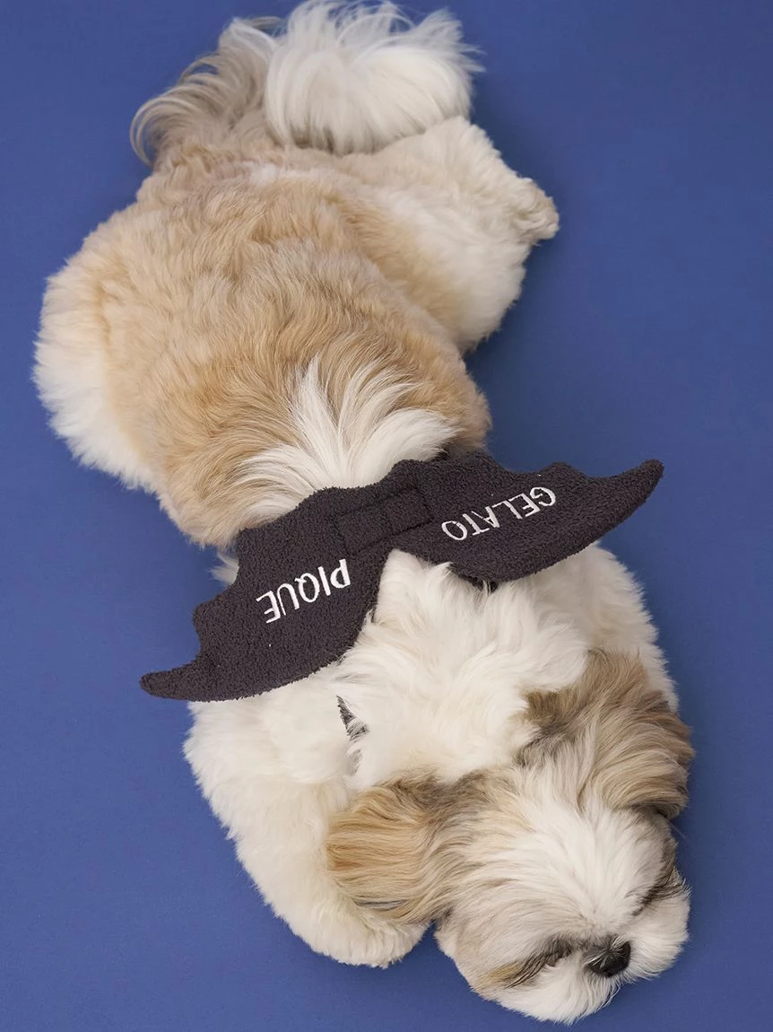 【HALLOWEEN】【CAT&DOG】蝙蝠翅膀 PAGA264719