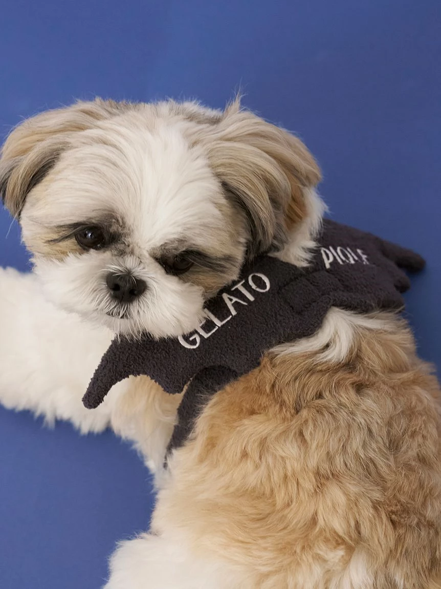 【HALLOWEEN】【CAT&DOG】蝙蝠翅膀 PAGA264719