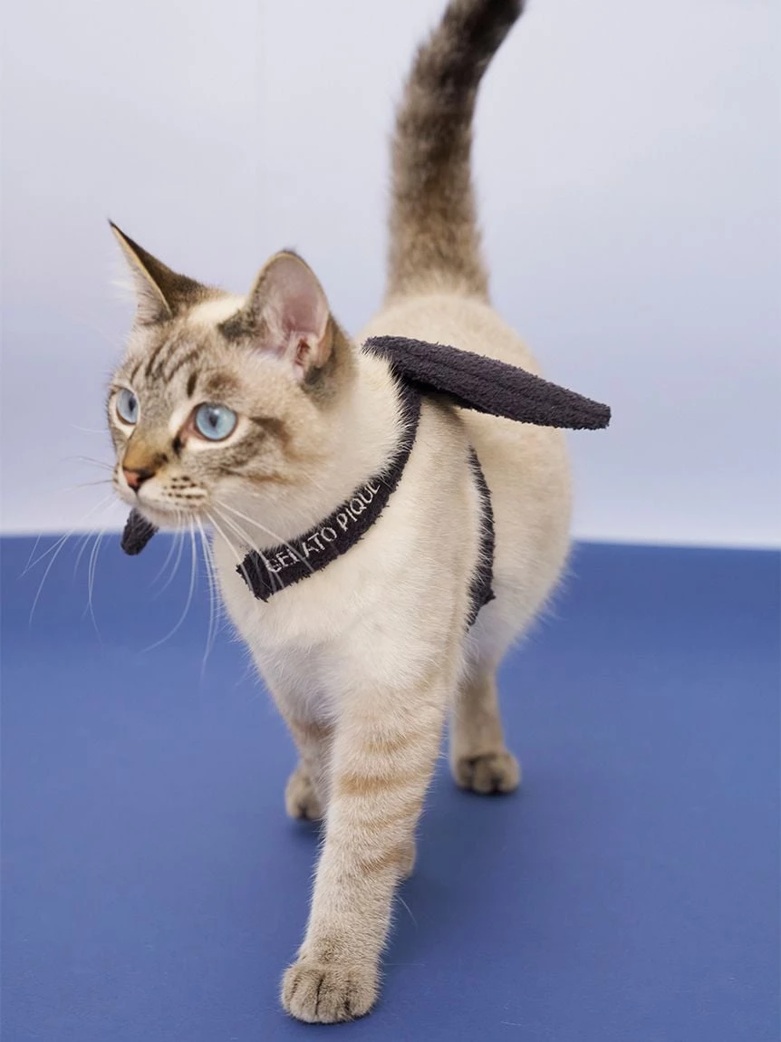 【HALLOWEEN】【CAT&DOG】蝙蝠翅膀 PAGA264719