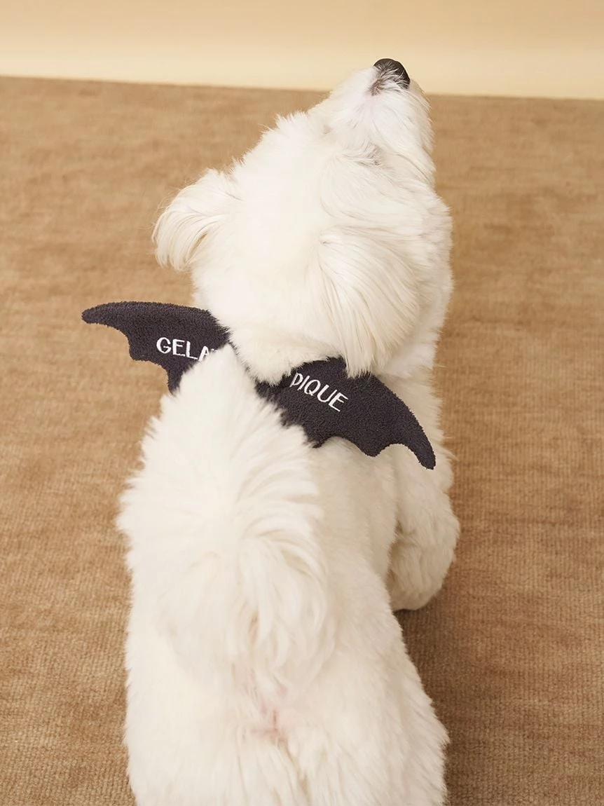 【HALLOWEEN】【CAT&DOG】蝙蝠翅膀 PAGA264719