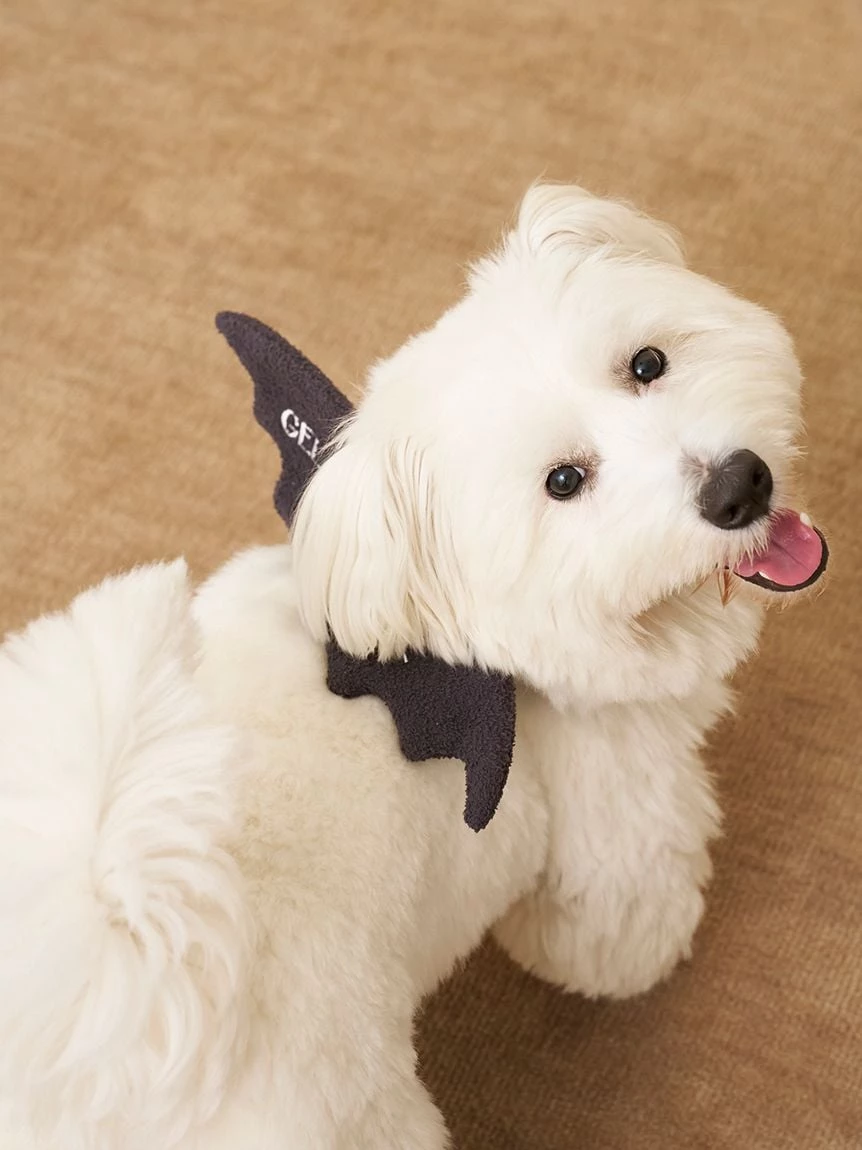 【HALLOWEEN】【CAT&DOG】蝙蝠翅膀 PAGA264719