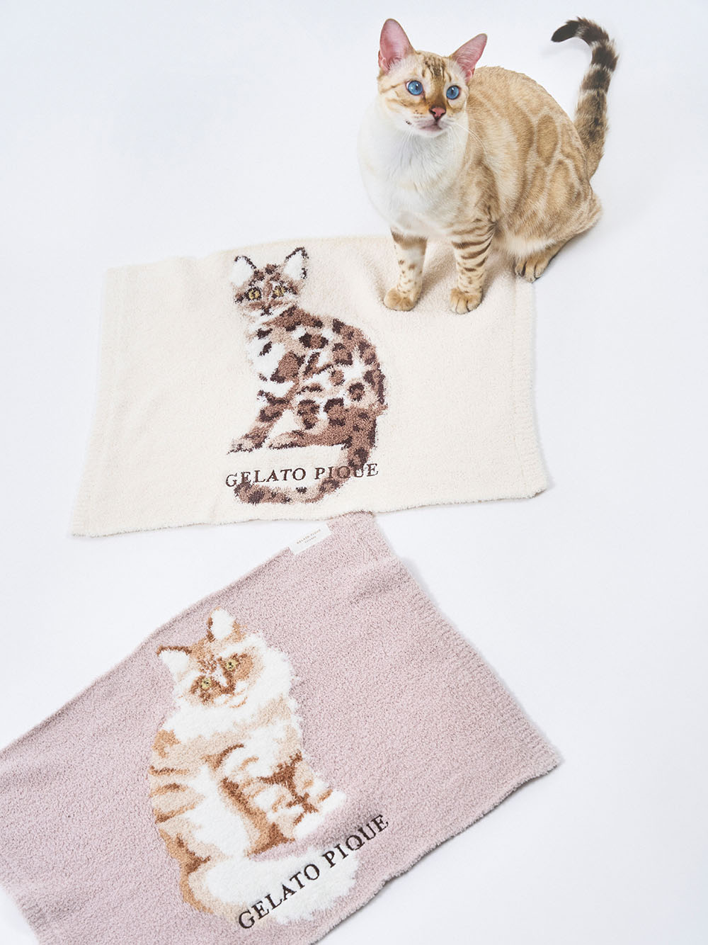 【CAT&DOG】貓咪圖案毛毯 PAGG231607