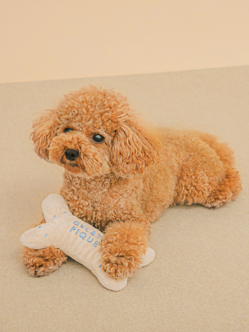 【CAT&DOG】骨頭造型嗅聞玩具 PAGG234605