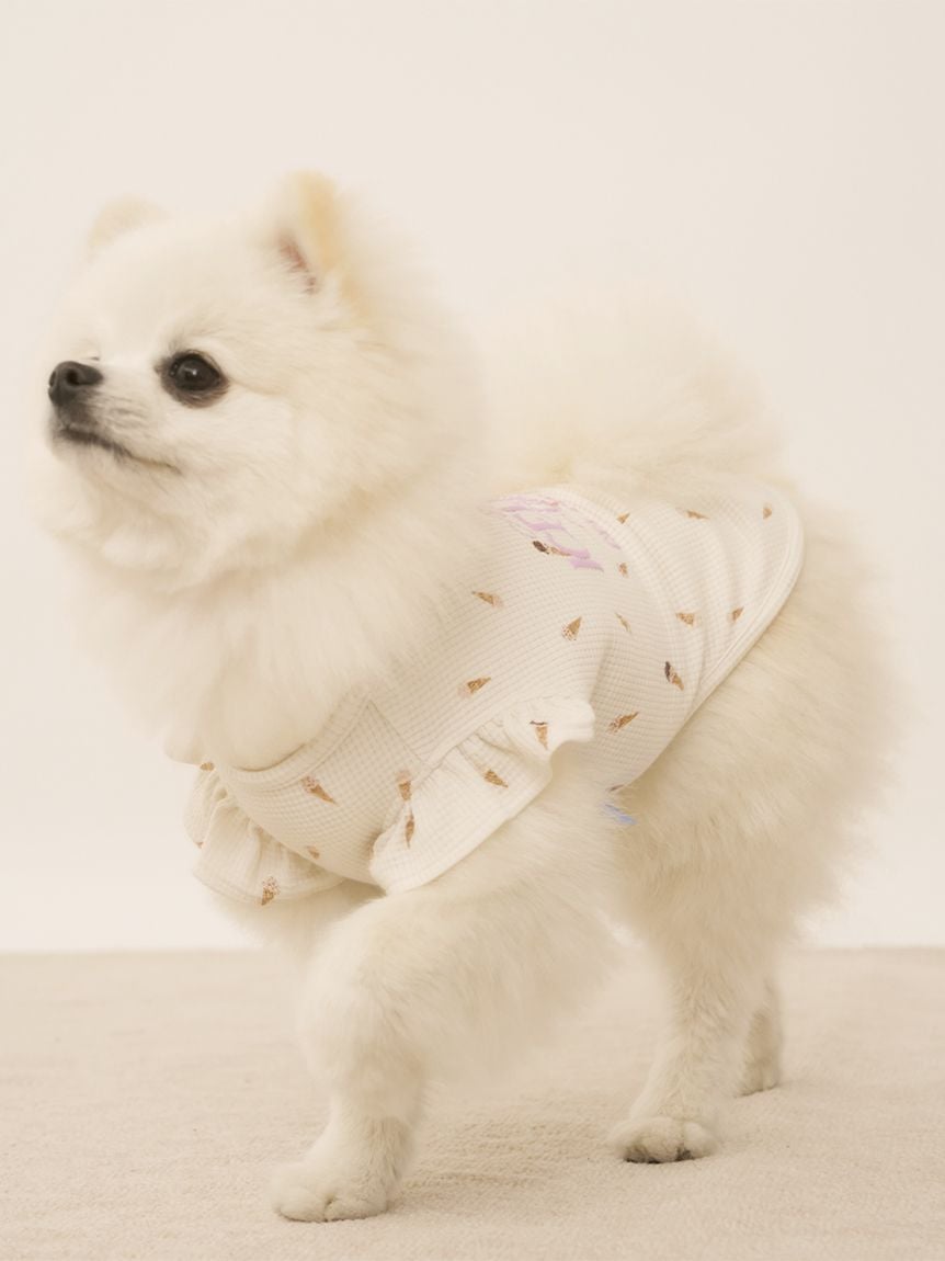 【CAT&DOG】冰淇淋印花華夫格荷葉袖上衣 PAGG252709