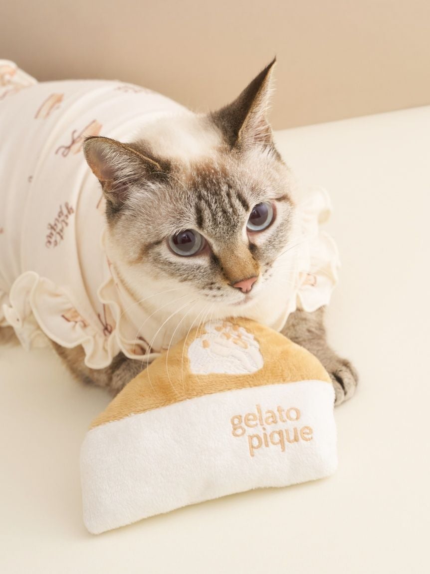 【CAT&DOG】寵物起司蛋糕玩具 PAGG254574