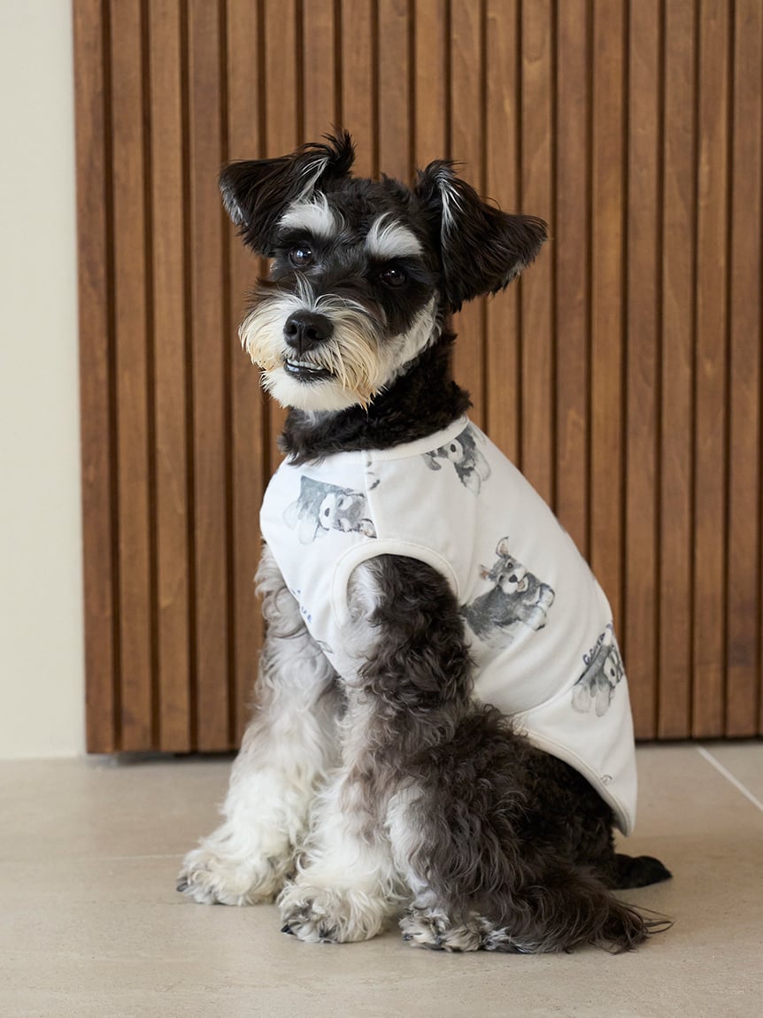 【CAT&DOG】雪納瑞印花棉質上衣 PAGG255596