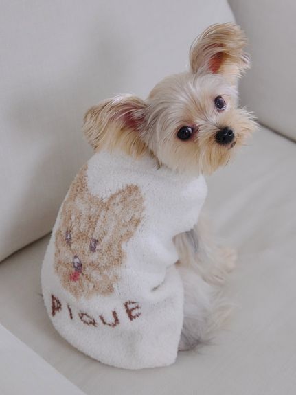 【CAT&DOG】Meringue DOG約克夏狗狗提花針織上衣 PAGG255622