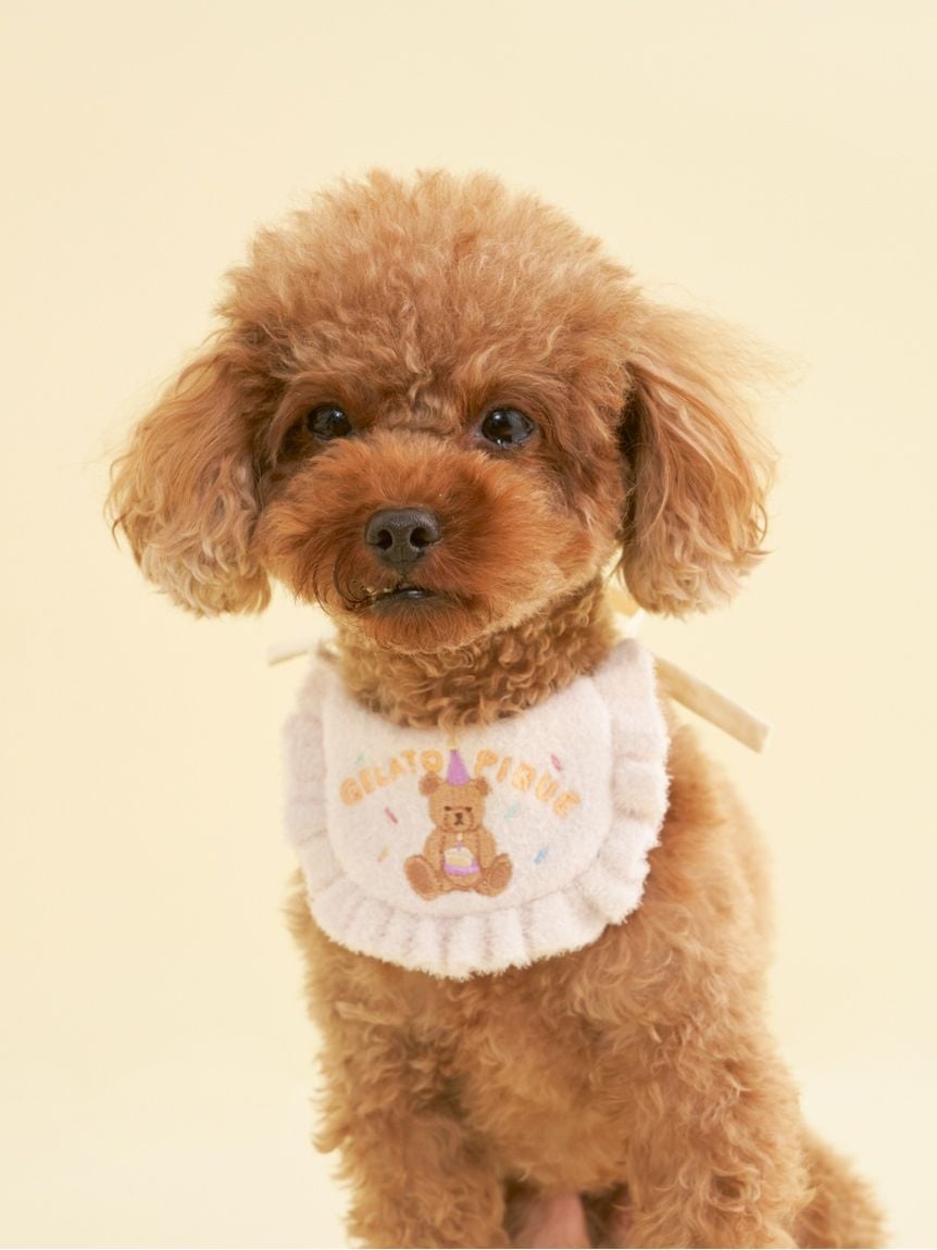 【CAT&DOG】【Birthday】SMOOTHIE生日圍兜 PAGG259133