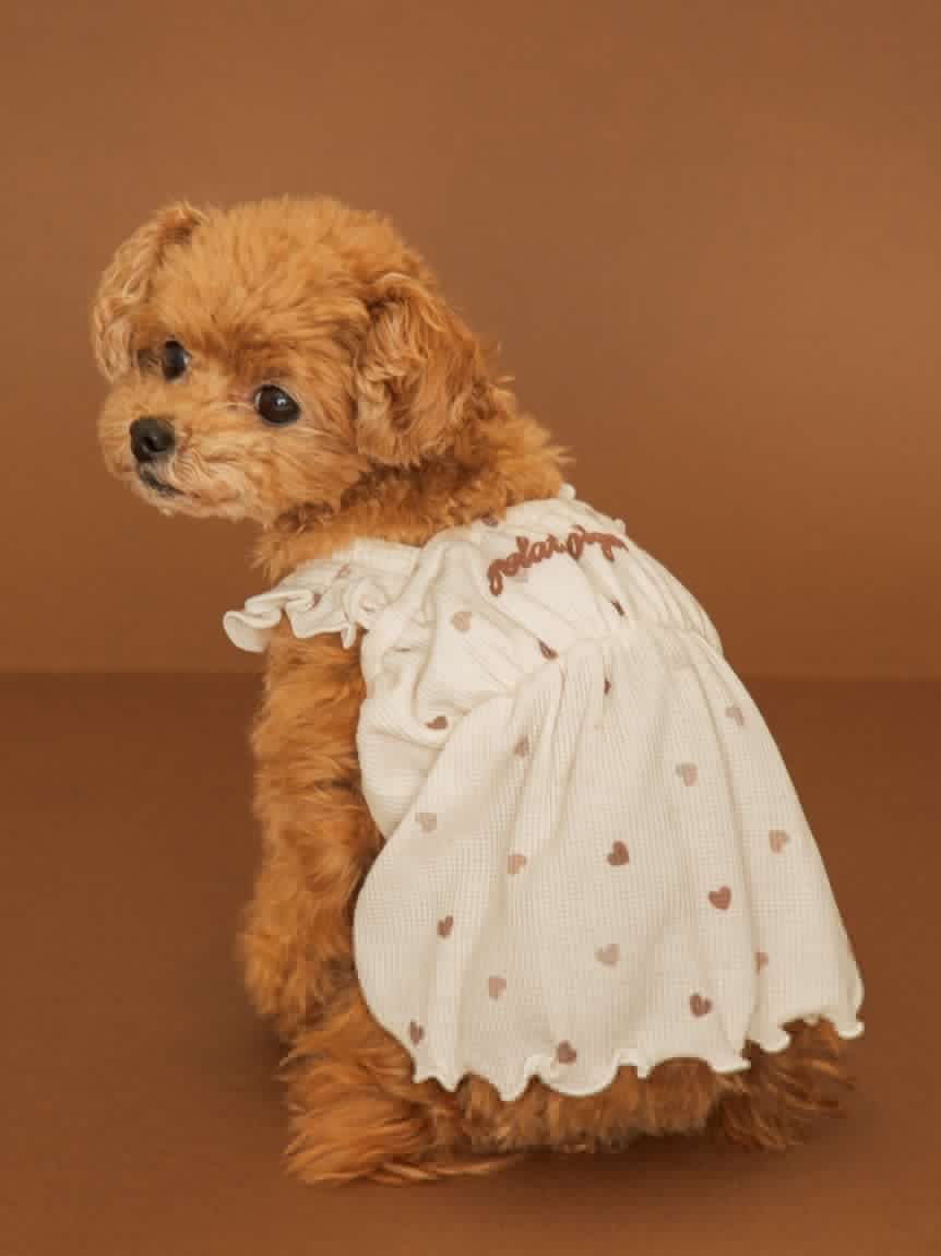 【Valentine】【CAT&DOG】愛心印花荷葉小洋裝 PAGG261576