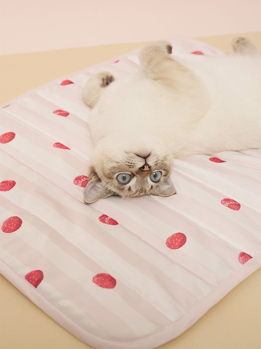 【CAT&DOG】【接觸涼感】【抗菌防臭】Cooling涼感墊 PAGG262576