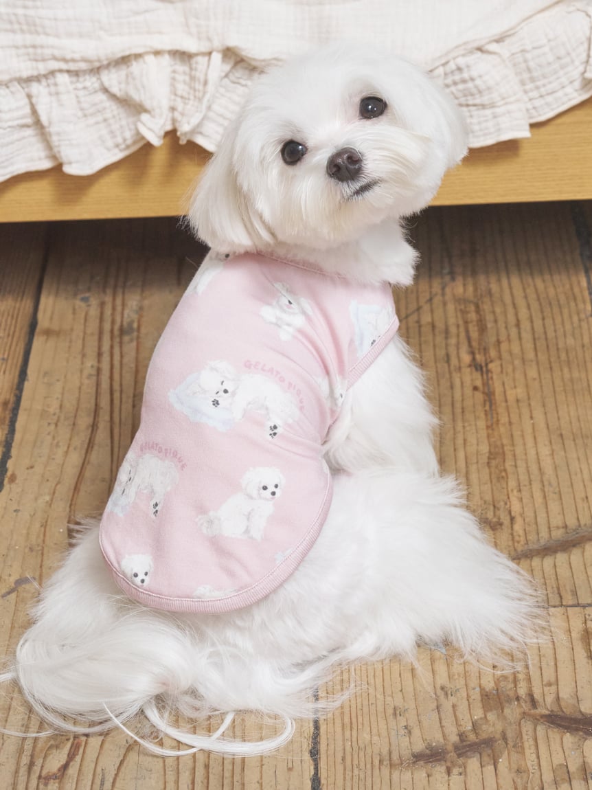 【CAT&DOG】馬爾濟斯印花針織上衣 PAGG264700