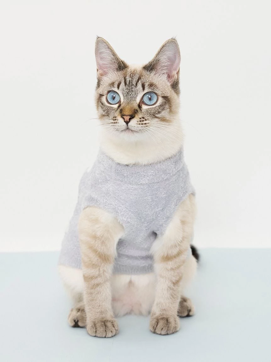 【CAT&DOG】SMOOTHIE天空圖案套頭上衣 PAGG264705