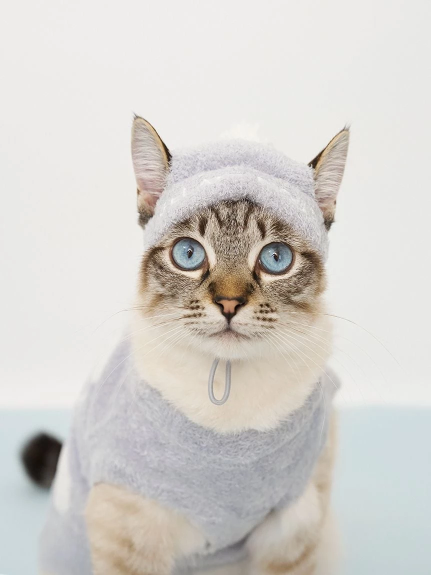 【CAT&DOG】SMOOTHIE天空圖案套頭上衣 PAGG264705