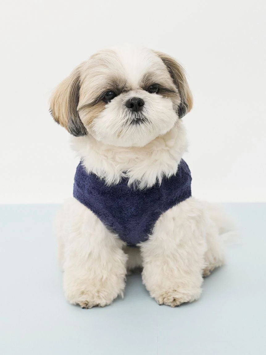 【CAT&DOG】SMOOTHIE天空圖案套頭上衣 PAGG264705