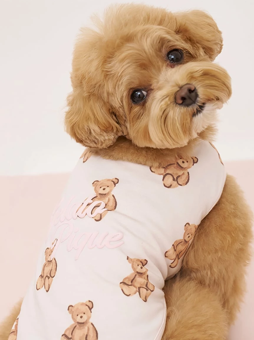 【CAT&DOG】小熊印花上衣 PAGG264714