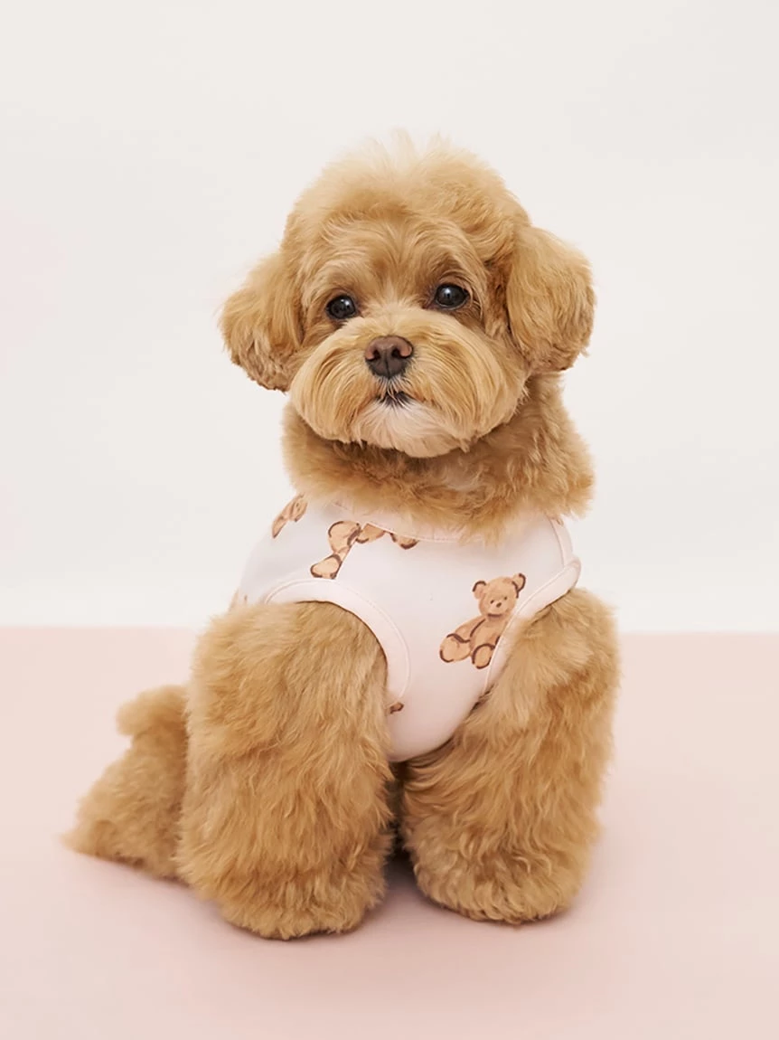【CAT&DOG】小熊印花上衣 PAGG264714