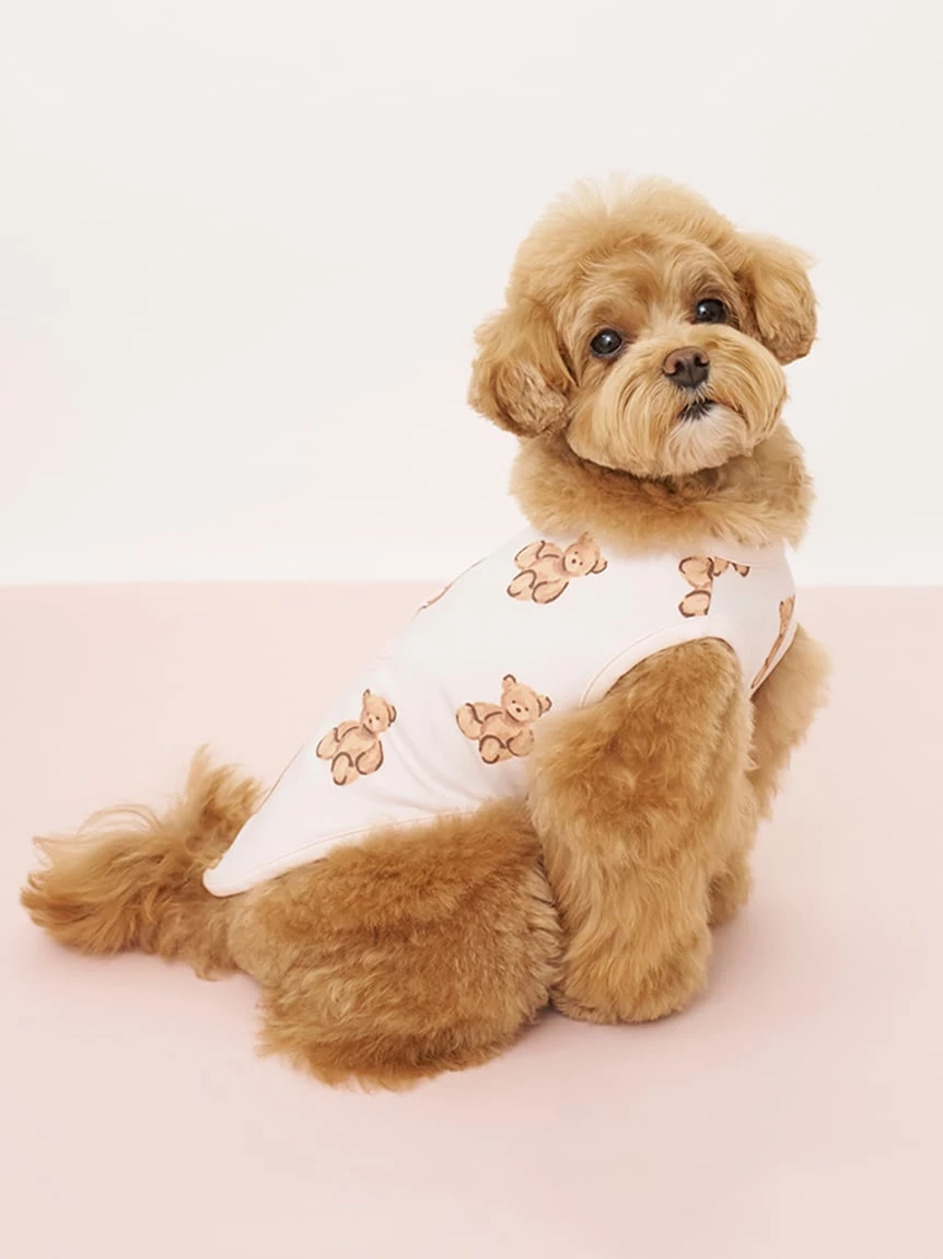 【CAT&DOG】小熊印花上衣 PAGG264714