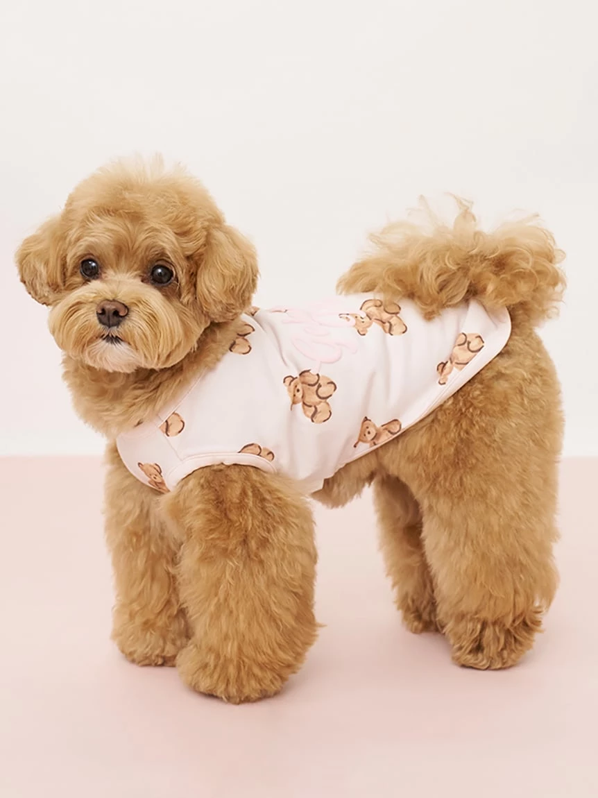 【CAT&DOG】小熊印花上衣 PAGG264714