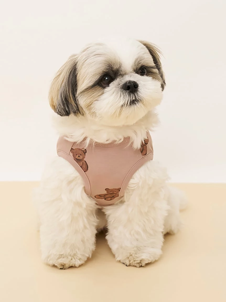 【CAT&DOG】小熊印花上衣 PAGG264714