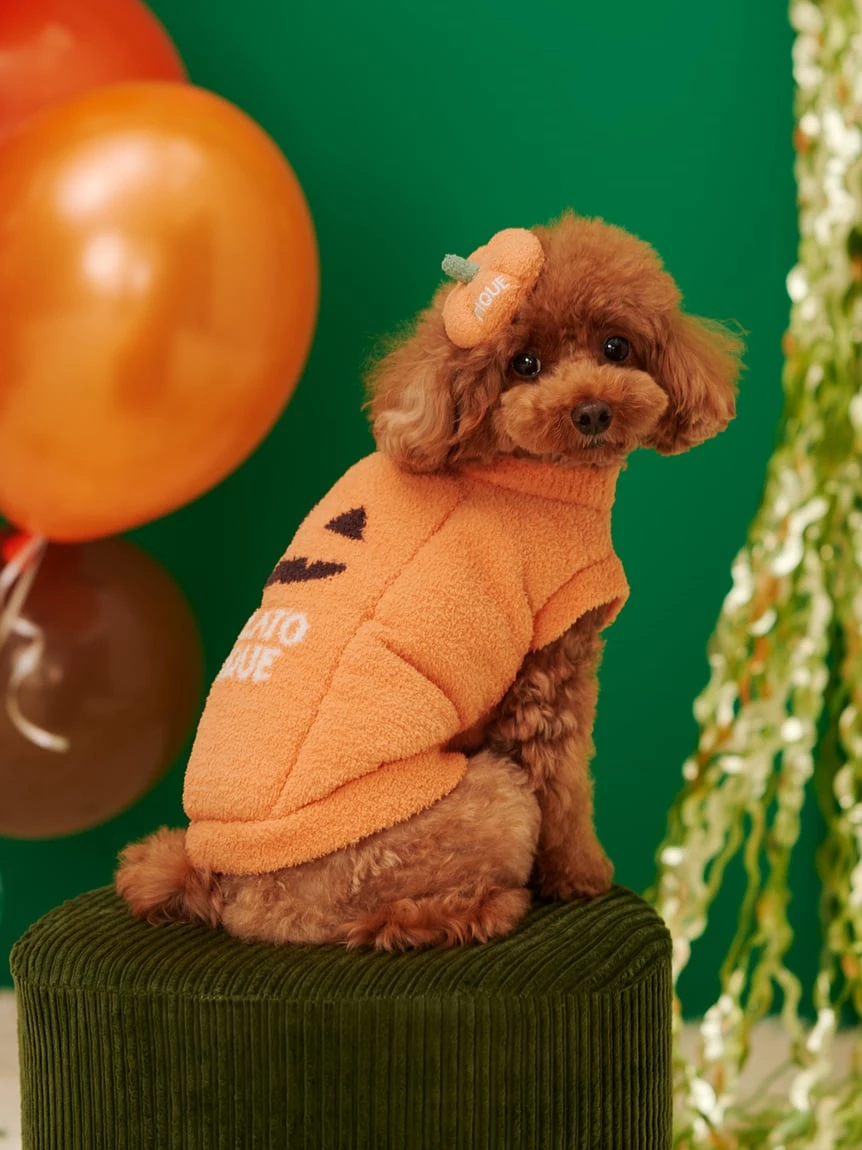 【HALLOWEEN】【CAT&DOG】南瓜套頭上衣 PAGG264720
