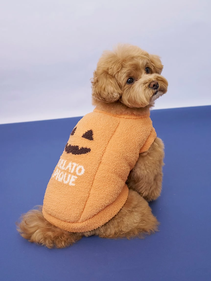 【HALLOWEEN】【CAT&DOG】南瓜套頭上衣 PAGG264720
