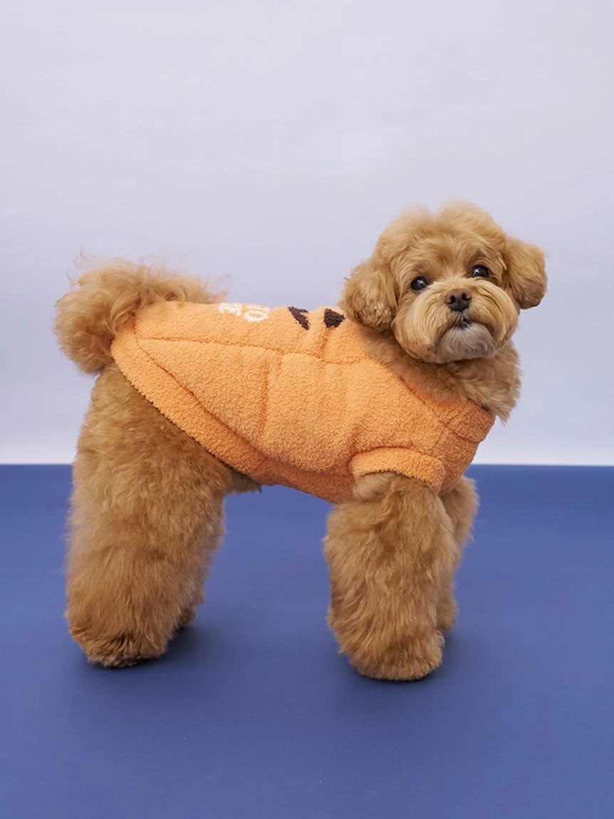 【HALLOWEEN】【CAT&DOG】南瓜套頭上衣 PAGG264720