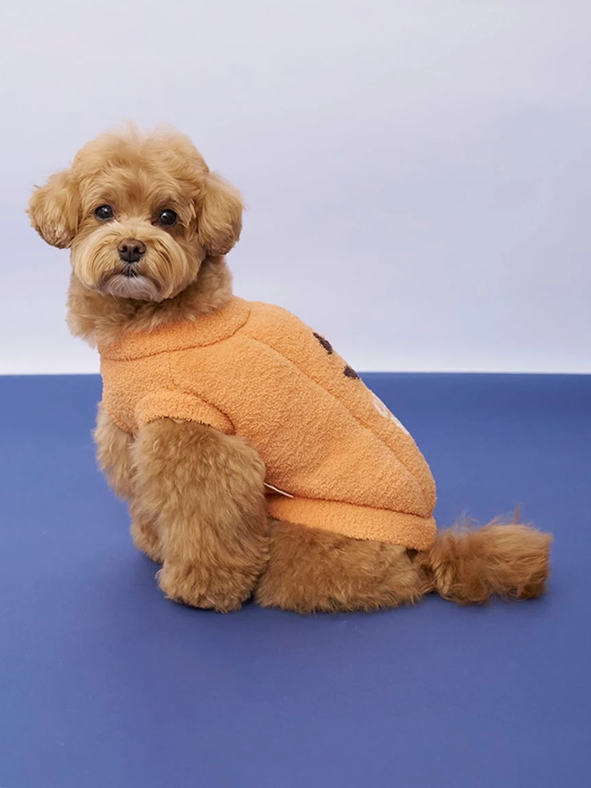 【HALLOWEEN】【CAT&DOG】南瓜套頭上衣 PAGG264720