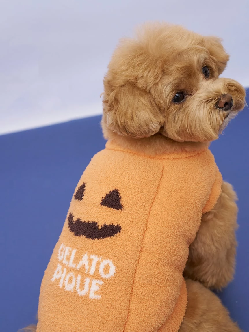 【HALLOWEEN】【CAT&DOG】南瓜套頭上衣 PAGG264720